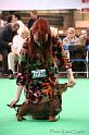 Crufts2011_2 1193